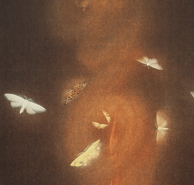 掛け軸 速水御舟 リトグラフ （複製版画）炎舞 限定350部 掛け軸 速水御舟 リトグラフ （複製版画）炎舞 限定350部 - メルカリ